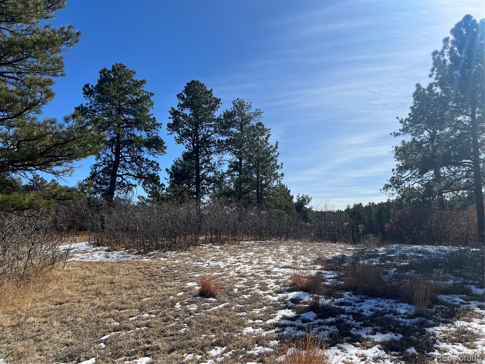 6764 Yampa Drive Larkspur CO 80118