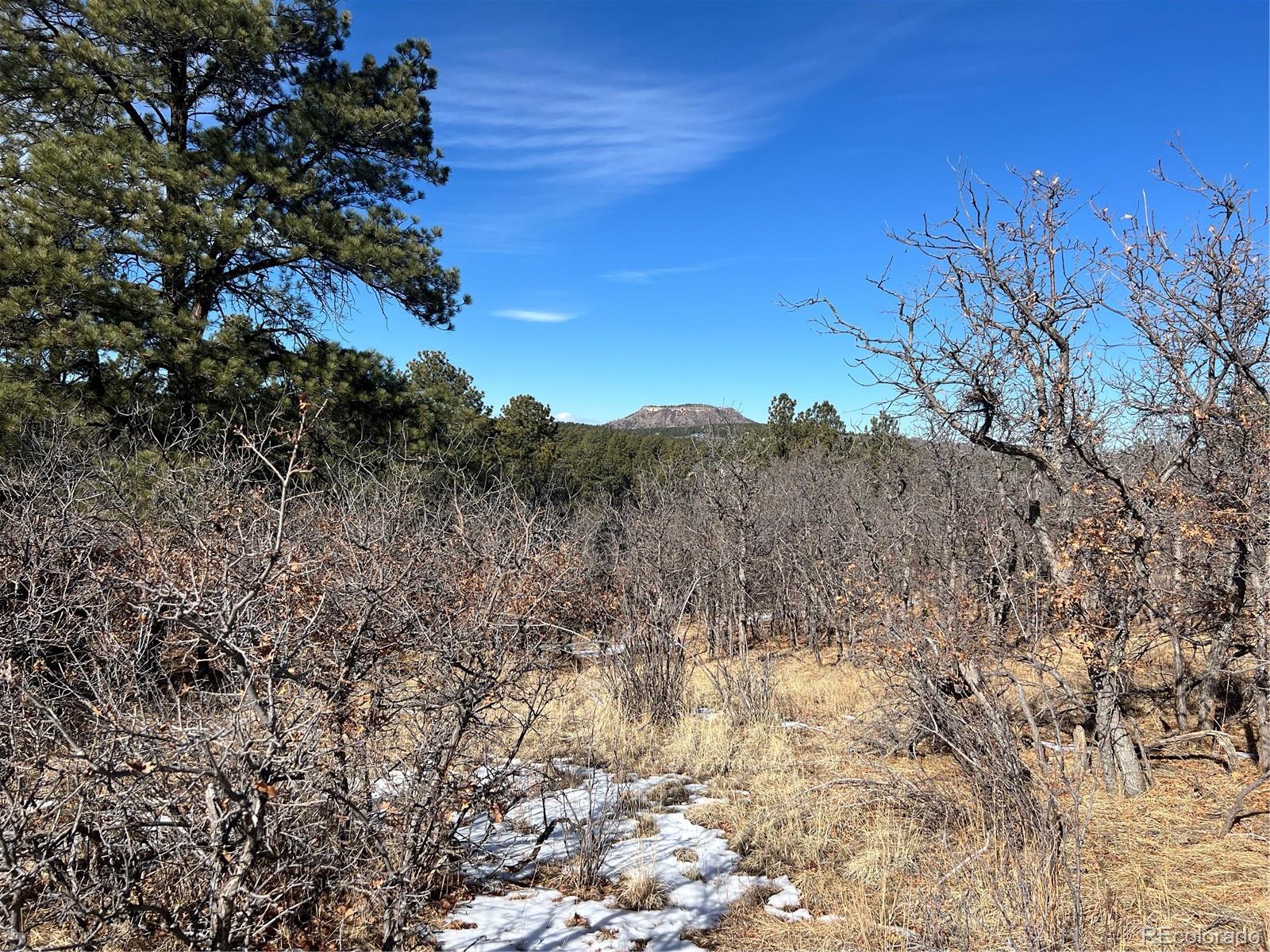 6764 Yampa Drive Larkspur CO 80118