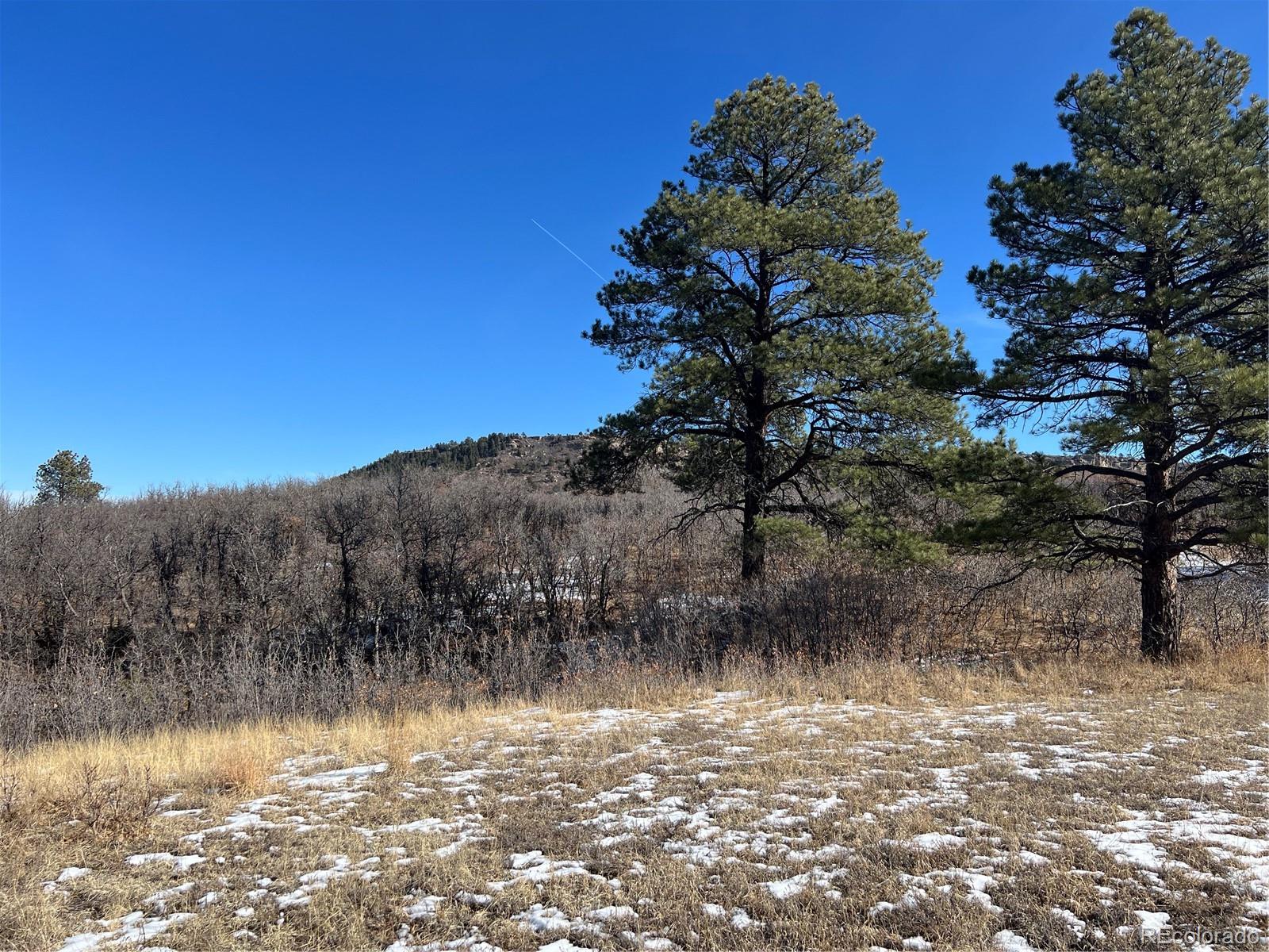 6764 Yampa Drive Larkspur CO 80118