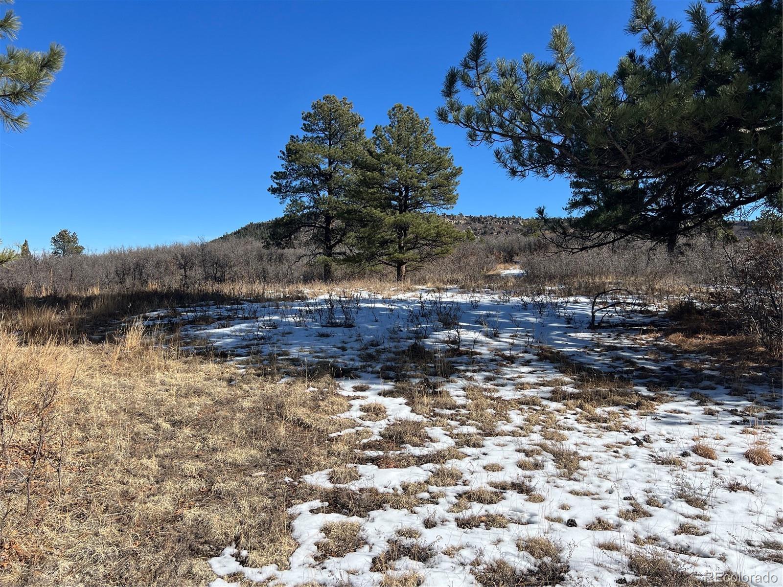 6764 Yampa Drive Larkspur CO 80118