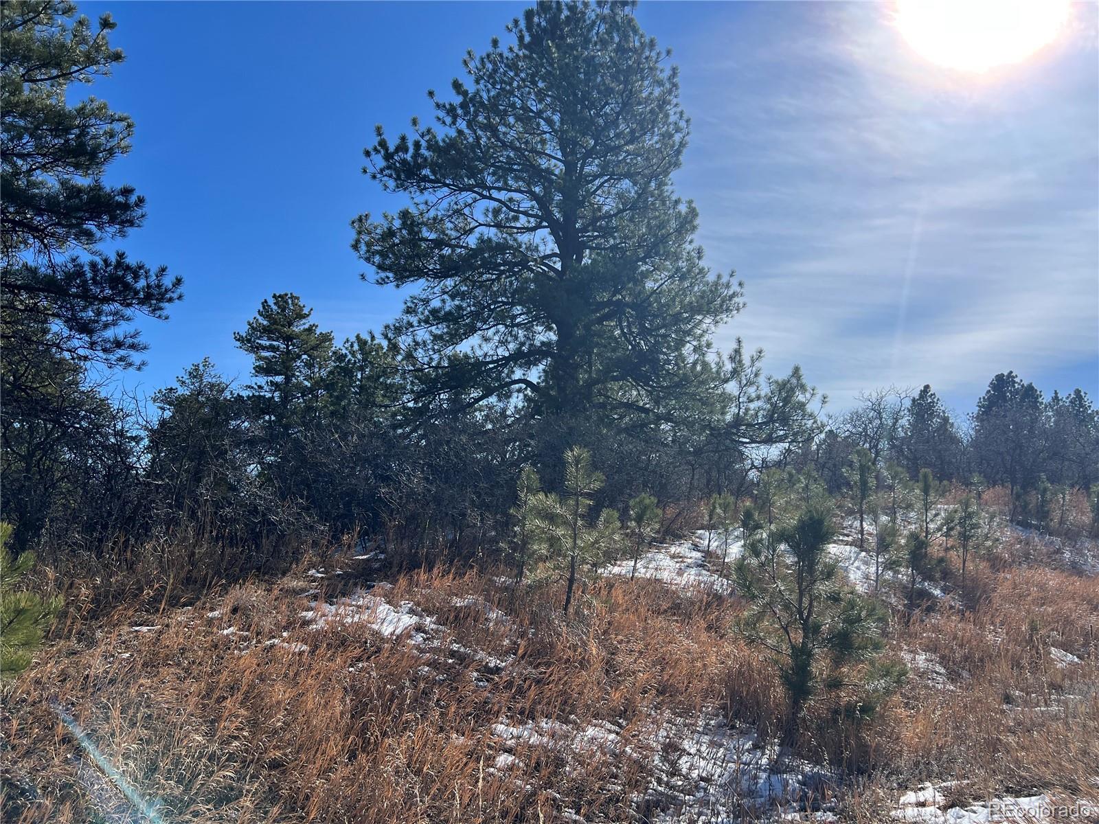 6764 Yampa Drive Larkspur CO 80118