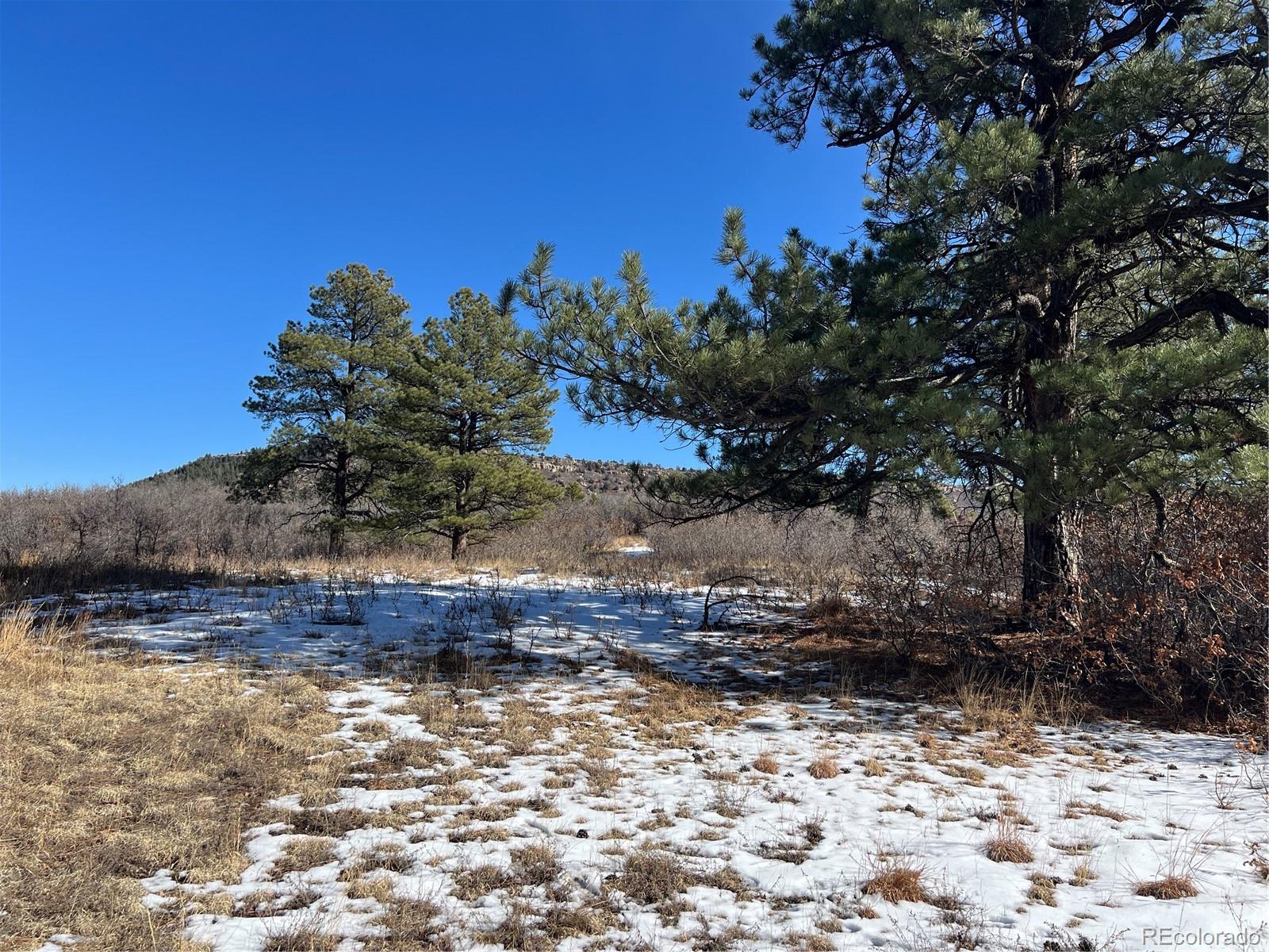 6764 Yampa Drive Larkspur CO 80118