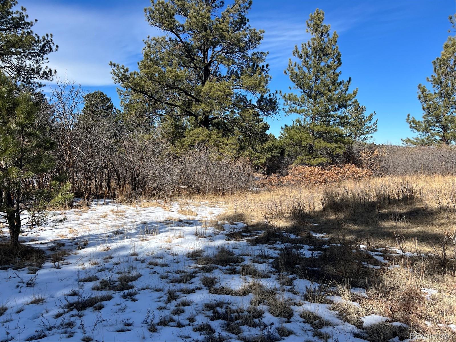 6764 Yampa Drive Larkspur CO 80118