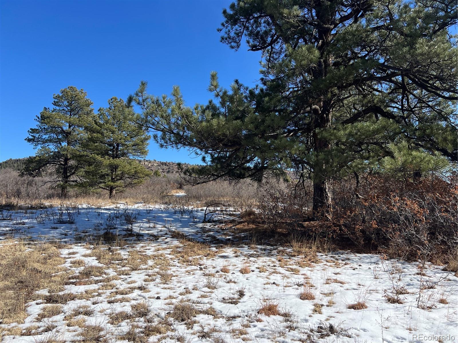 6764 Yampa Drive Larkspur CO 80118