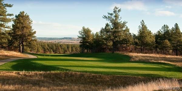 6764 Yampa Drive Larkspur CO 80118