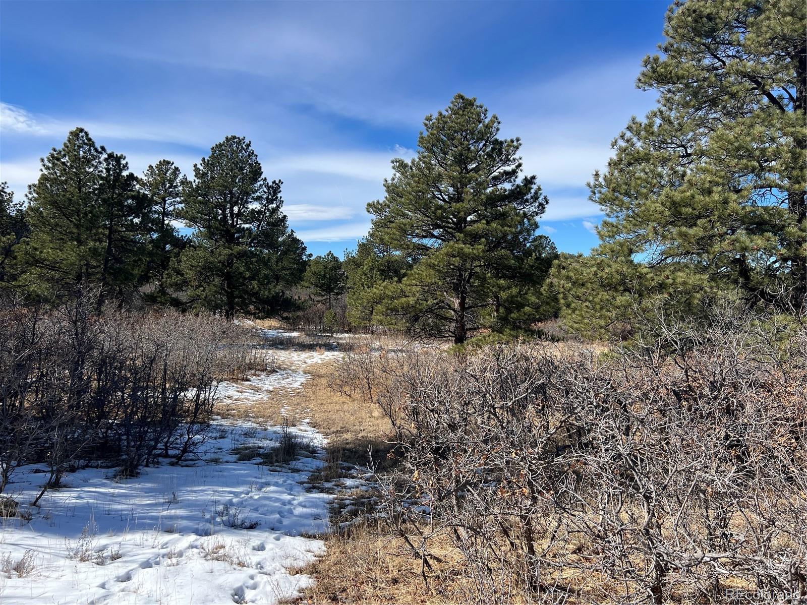 6764 Yampa Drive Larkspur CO 80118