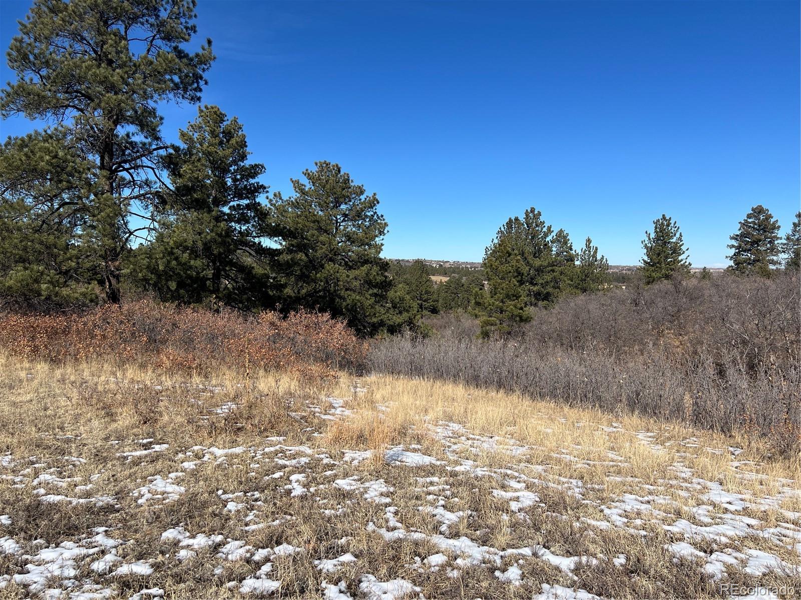 6764 Yampa Drive Larkspur CO 80118
