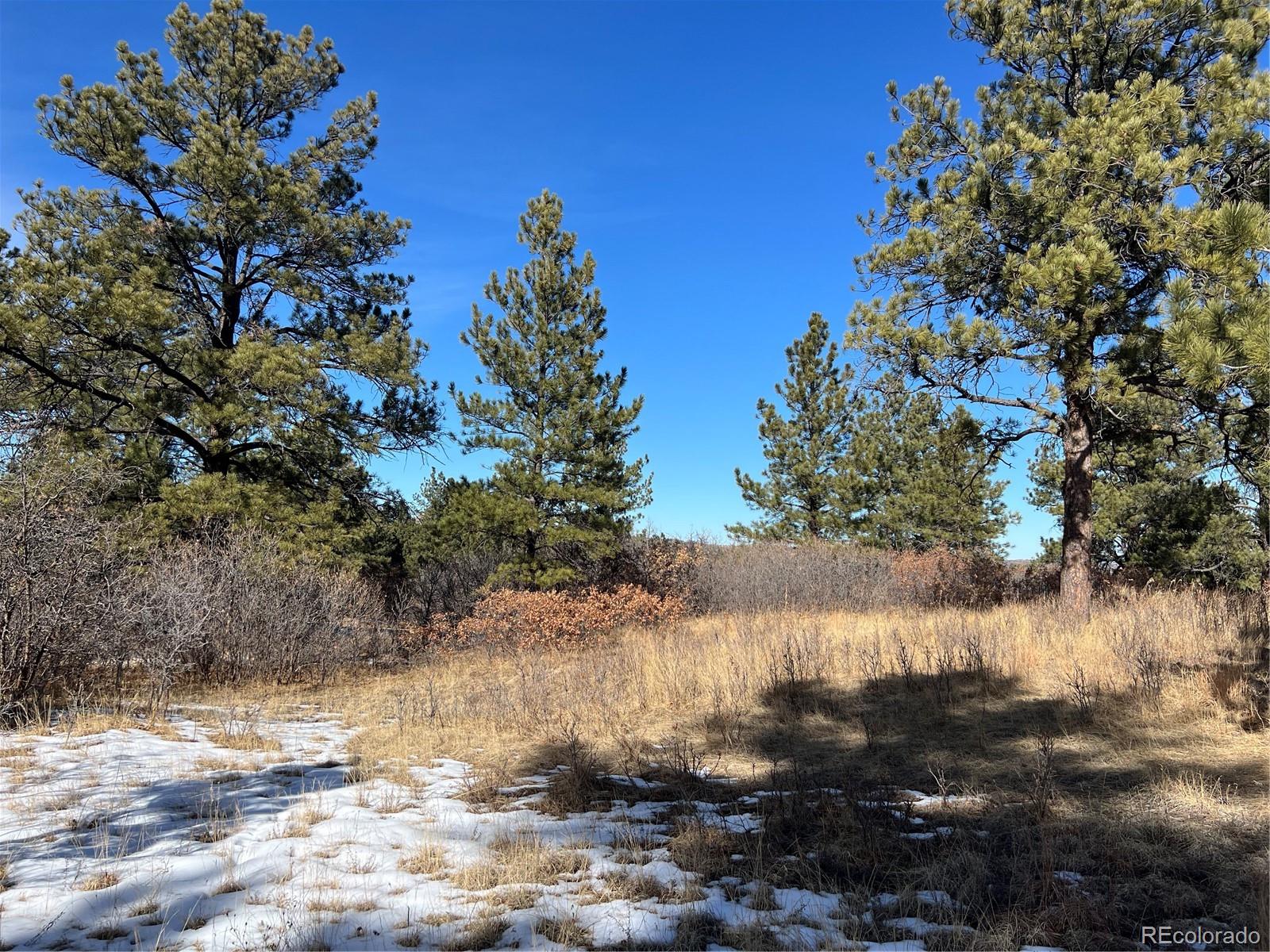 6764 Yampa Drive Larkspur CO 80118