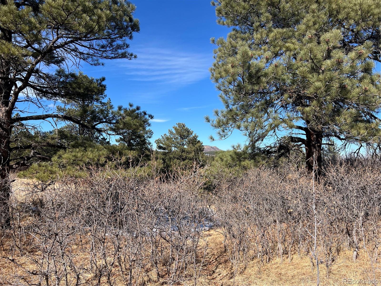 6764 Yampa Drive Larkspur CO 80118