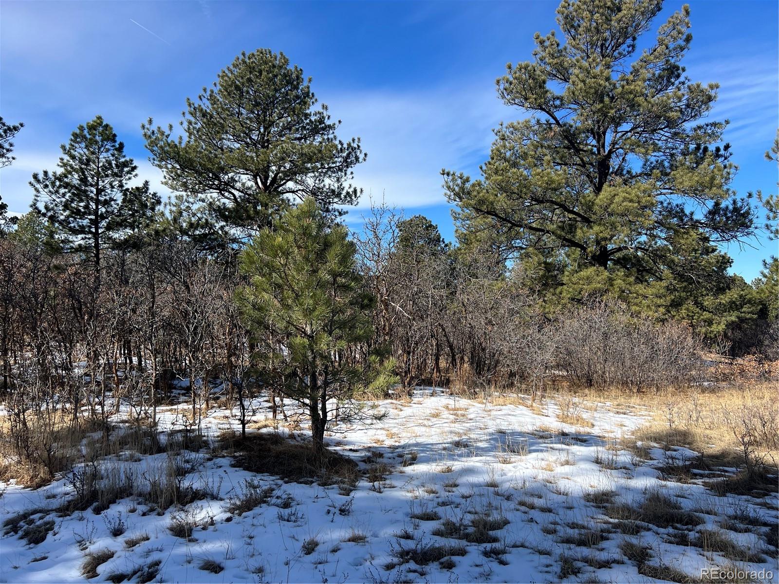 6764 Yampa Drive Larkspur CO 80118