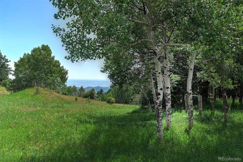 13884 N Trail Circle Littleton CO 80127