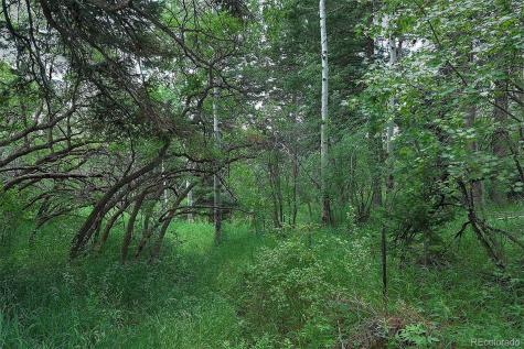 13884 N Trail Circle Littleton CO 80127