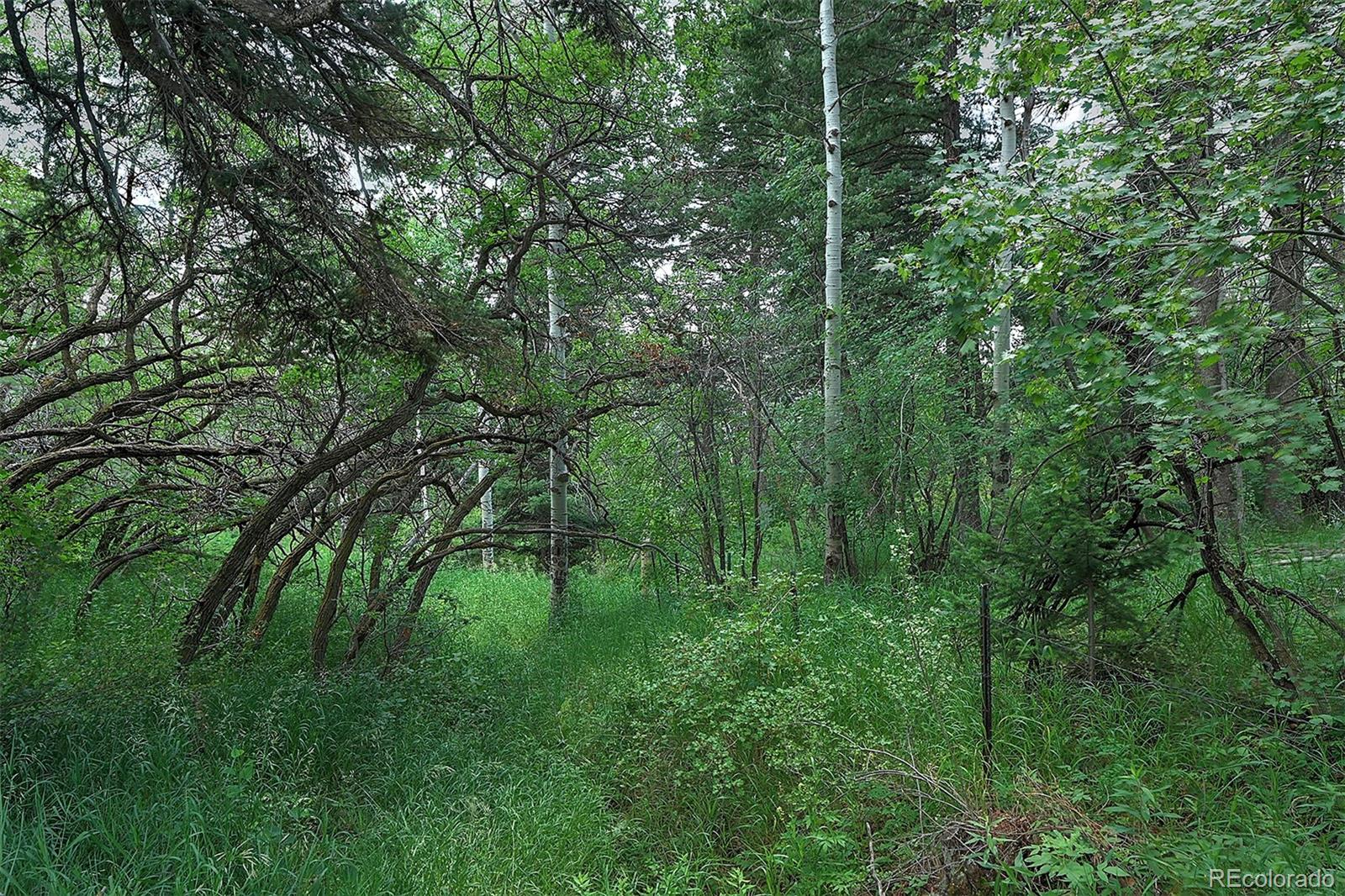 13884 N Trail Circle Littleton CO 80127
