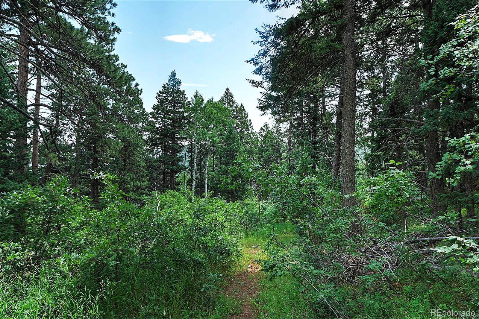 13884 N Trail Circle Littleton CO 80127