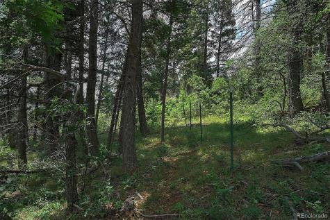 13884 N Trail Circle Littleton CO 80127