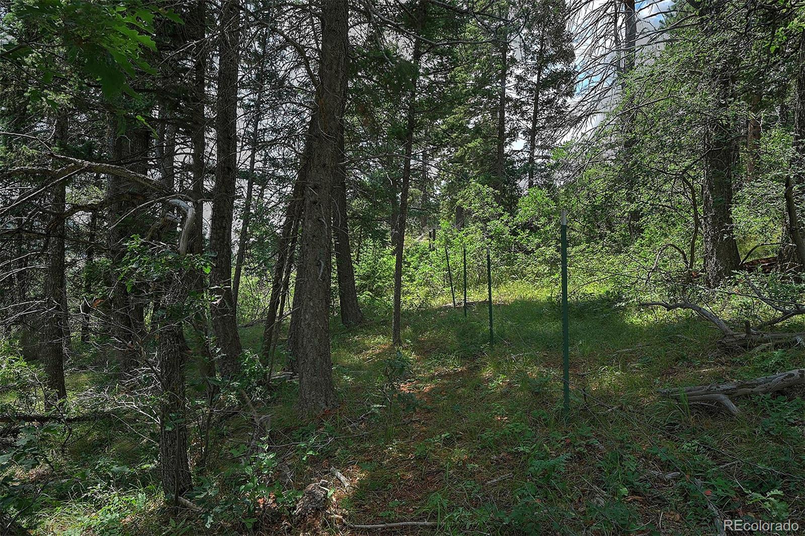 13884 N Trail Circle Littleton CO 80127