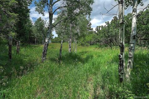 13884 N Trail Circle Littleton CO 80127