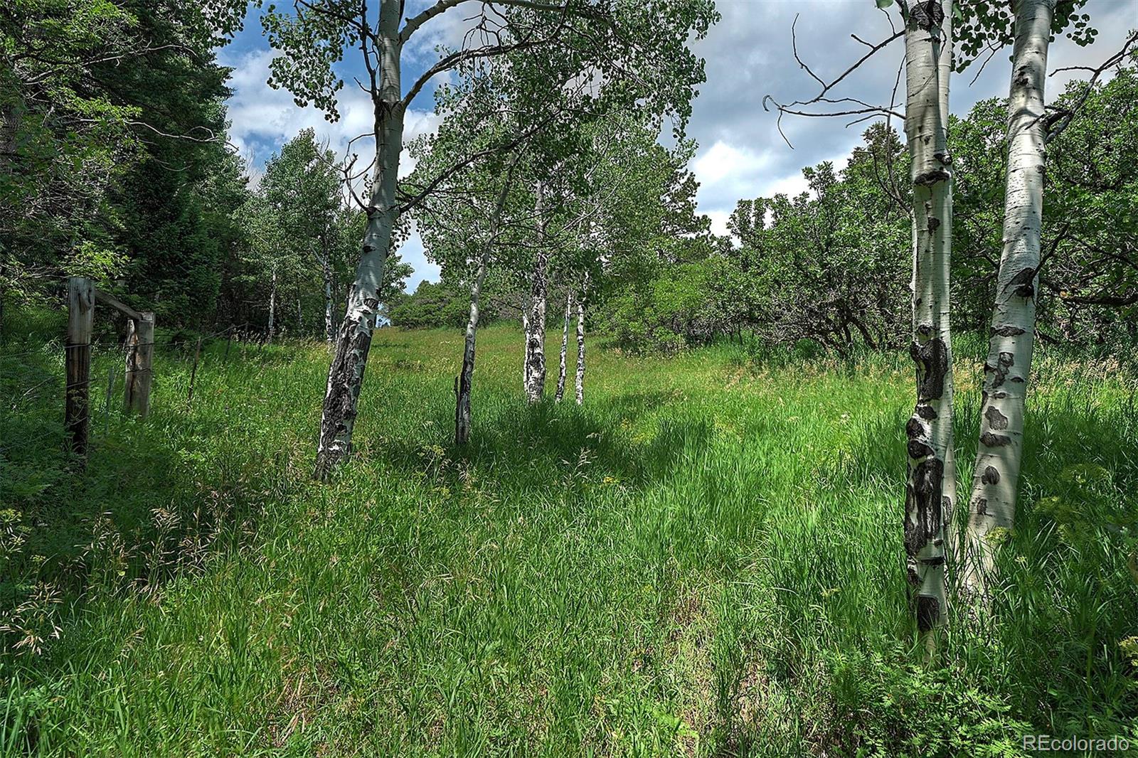 13884 N Trail Circle Littleton CO 80127