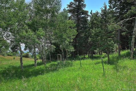 13884 N Trail Circle Littleton CO 80127