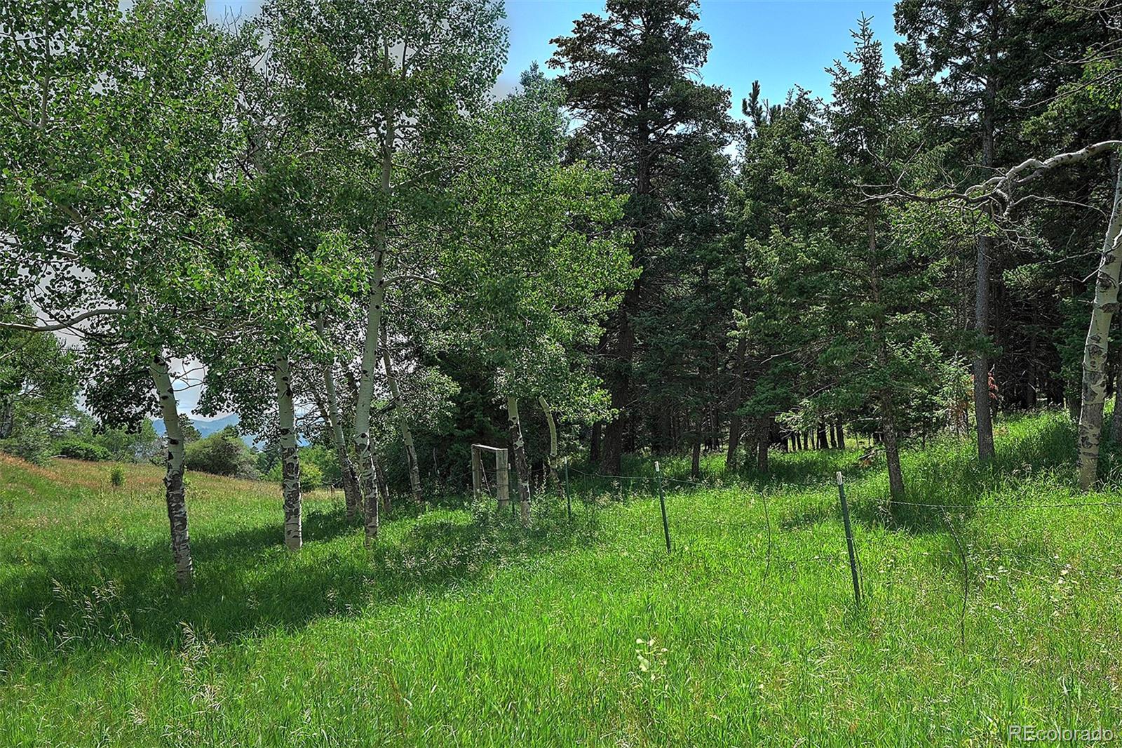 13884 N Trail Circle Littleton CO 80127