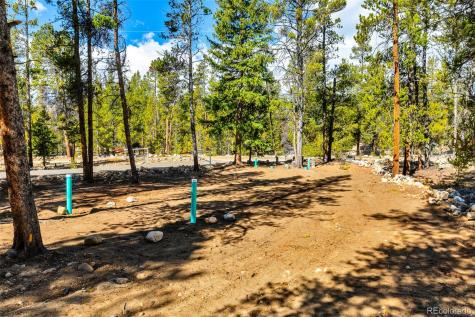 265 Placer Drive Alma CO 80420