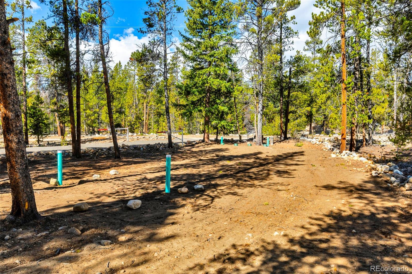 265 Placer Drive Alma CO 80420