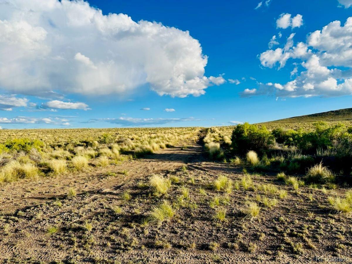 006 Bagby Court Blanca CO 81123