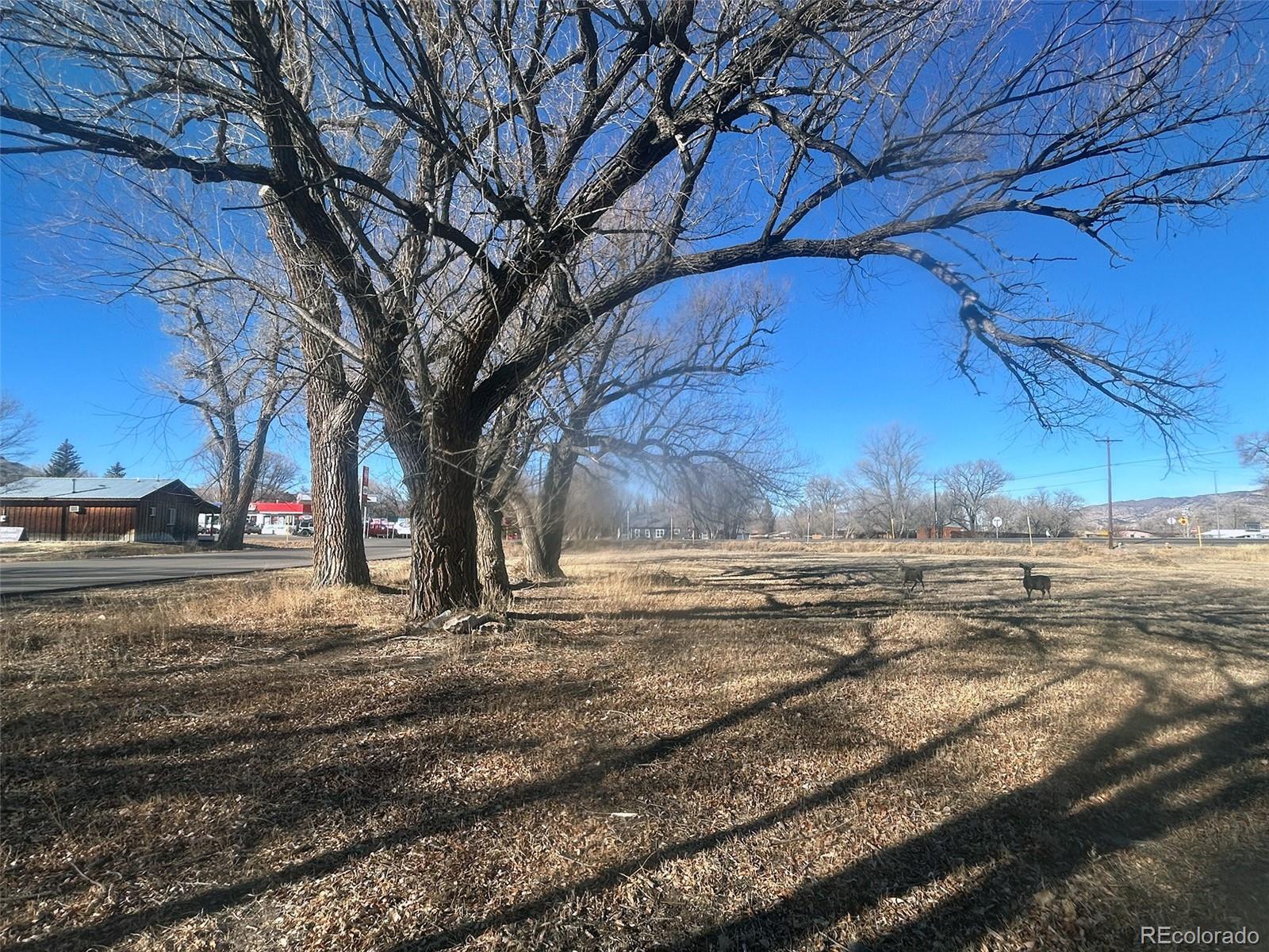 None Highway 285 Saguache CO 81149