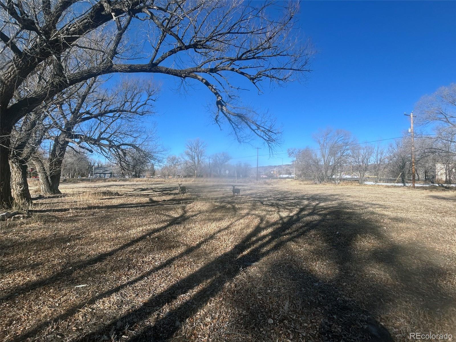 None Highway 285 Saguache CO 81149