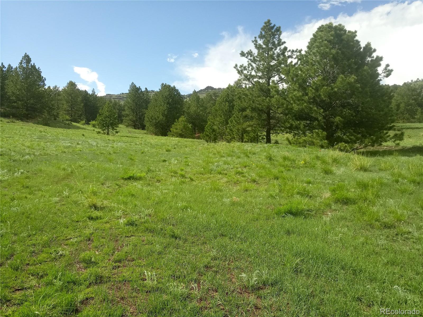 Tbd Post Road Guffey CO 80820