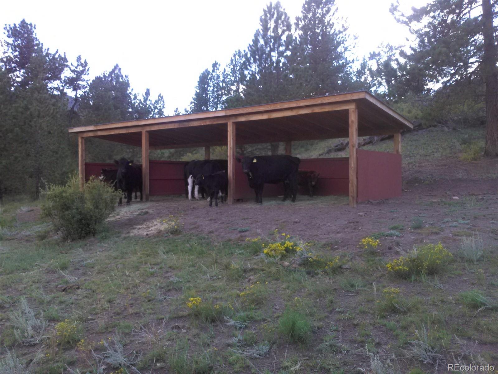 Tbd Post Road Guffey CO 80820