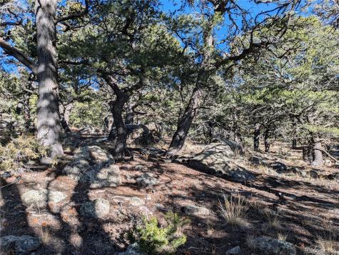 1284 Echo Point Crestone CO 81131