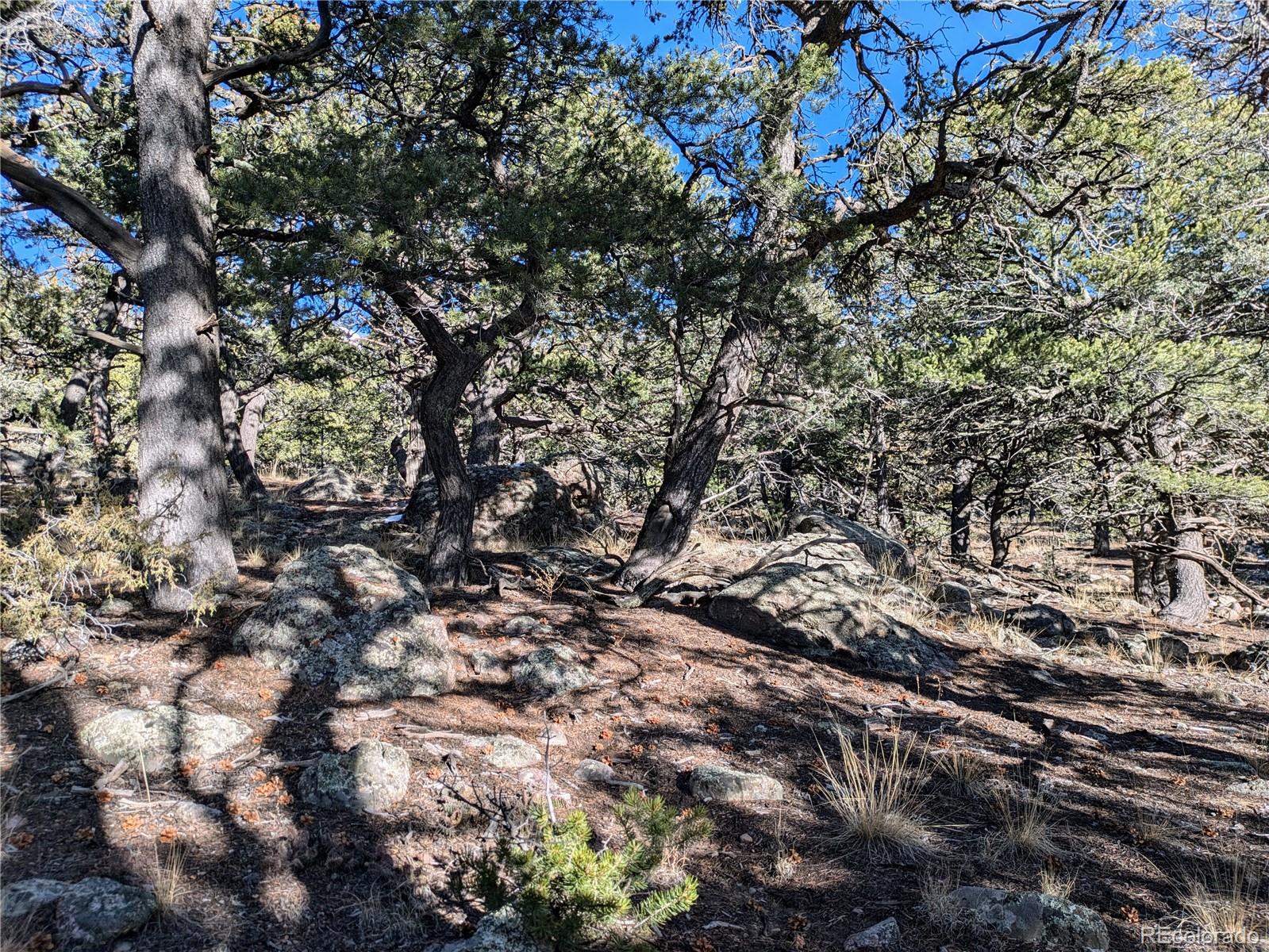 1284 Echo Point Crestone CO 81131