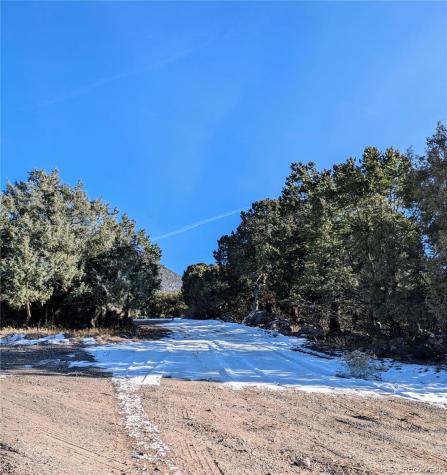 1284 Echo Point Crestone CO 81131