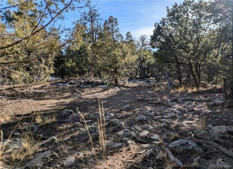 1284 Echo Point Crestone CO 81131