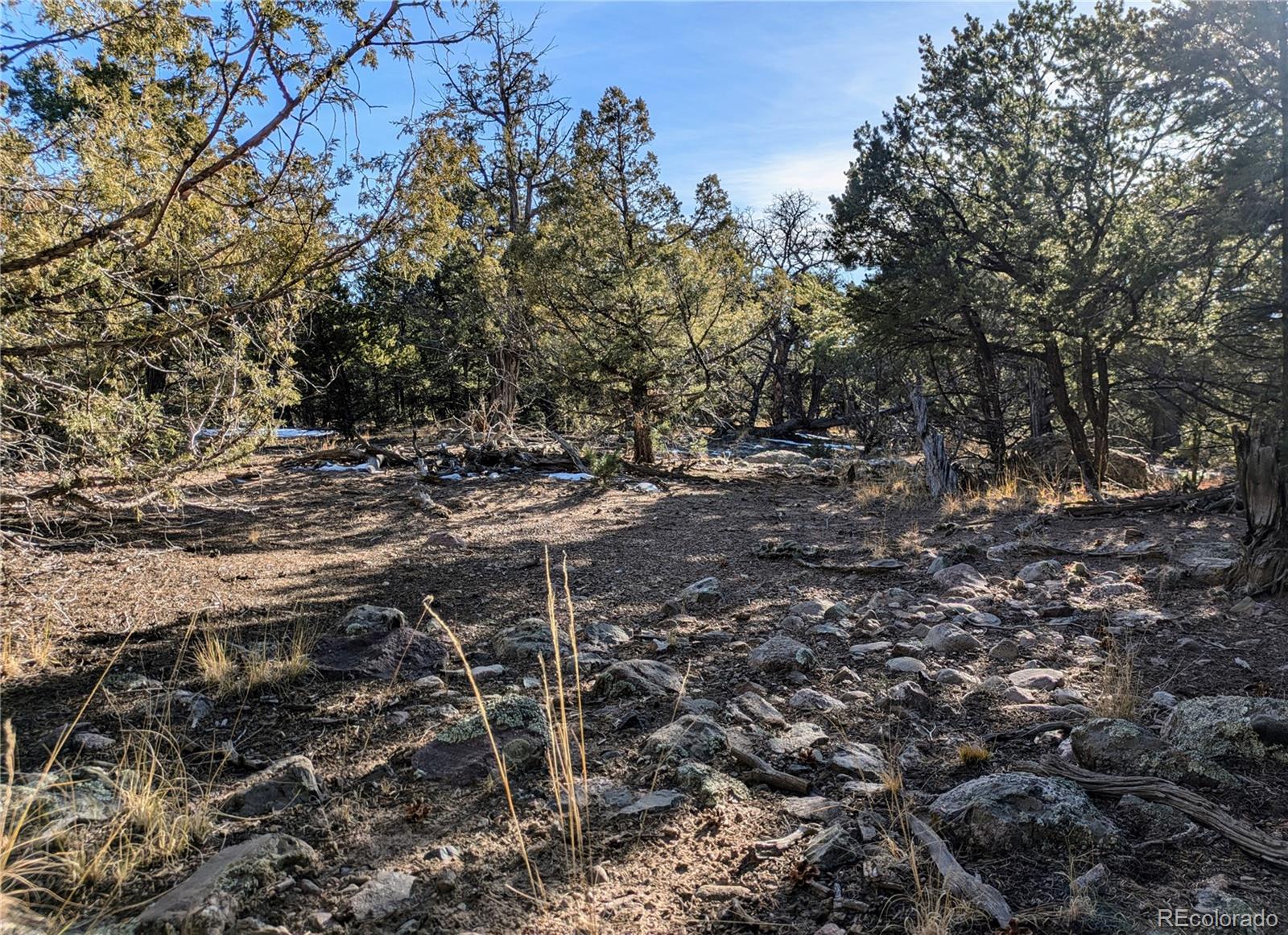 1284 Echo Point Crestone CO 81131