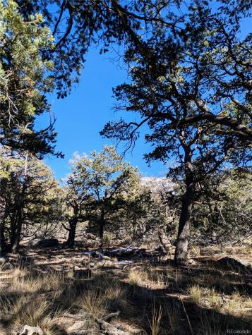 1284 Echo Point Crestone CO 81131