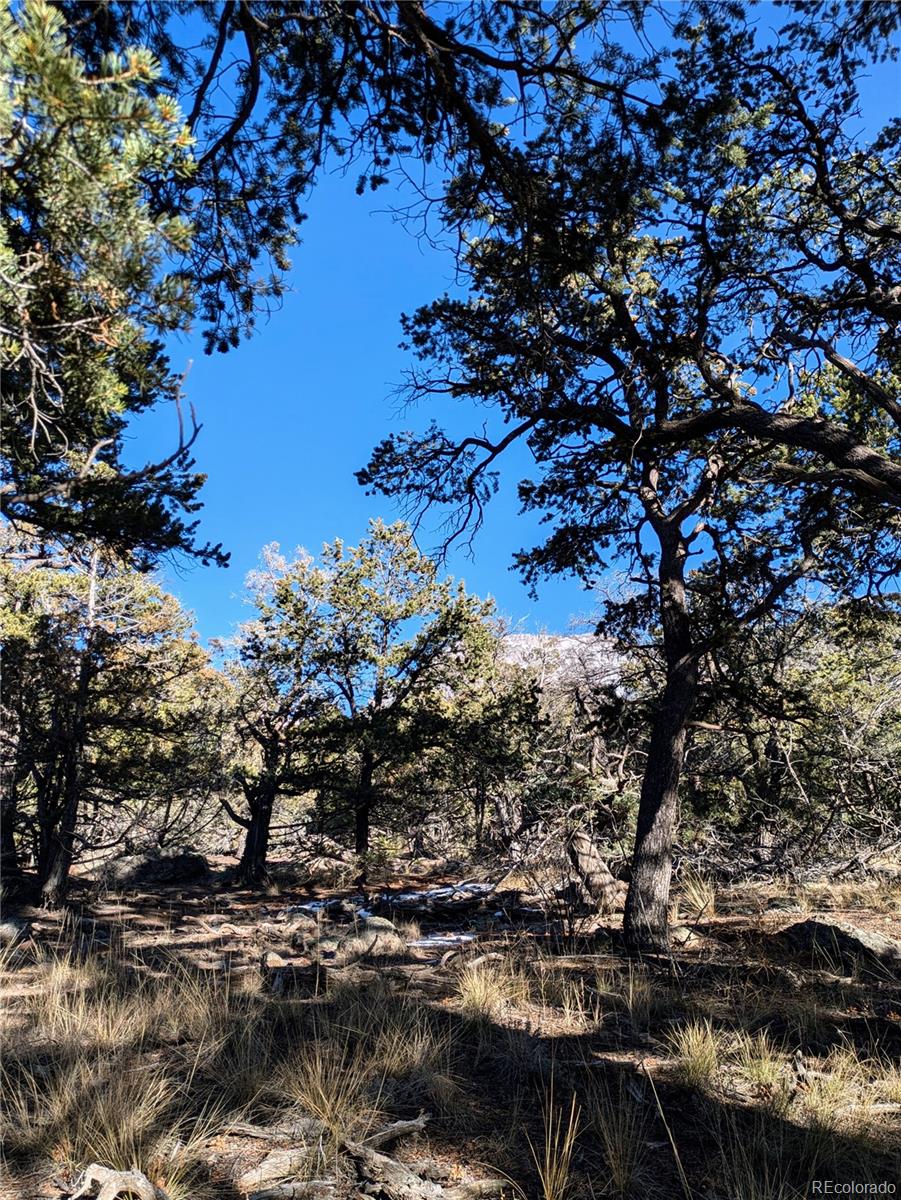 1284 Echo Point Crestone CO 81131