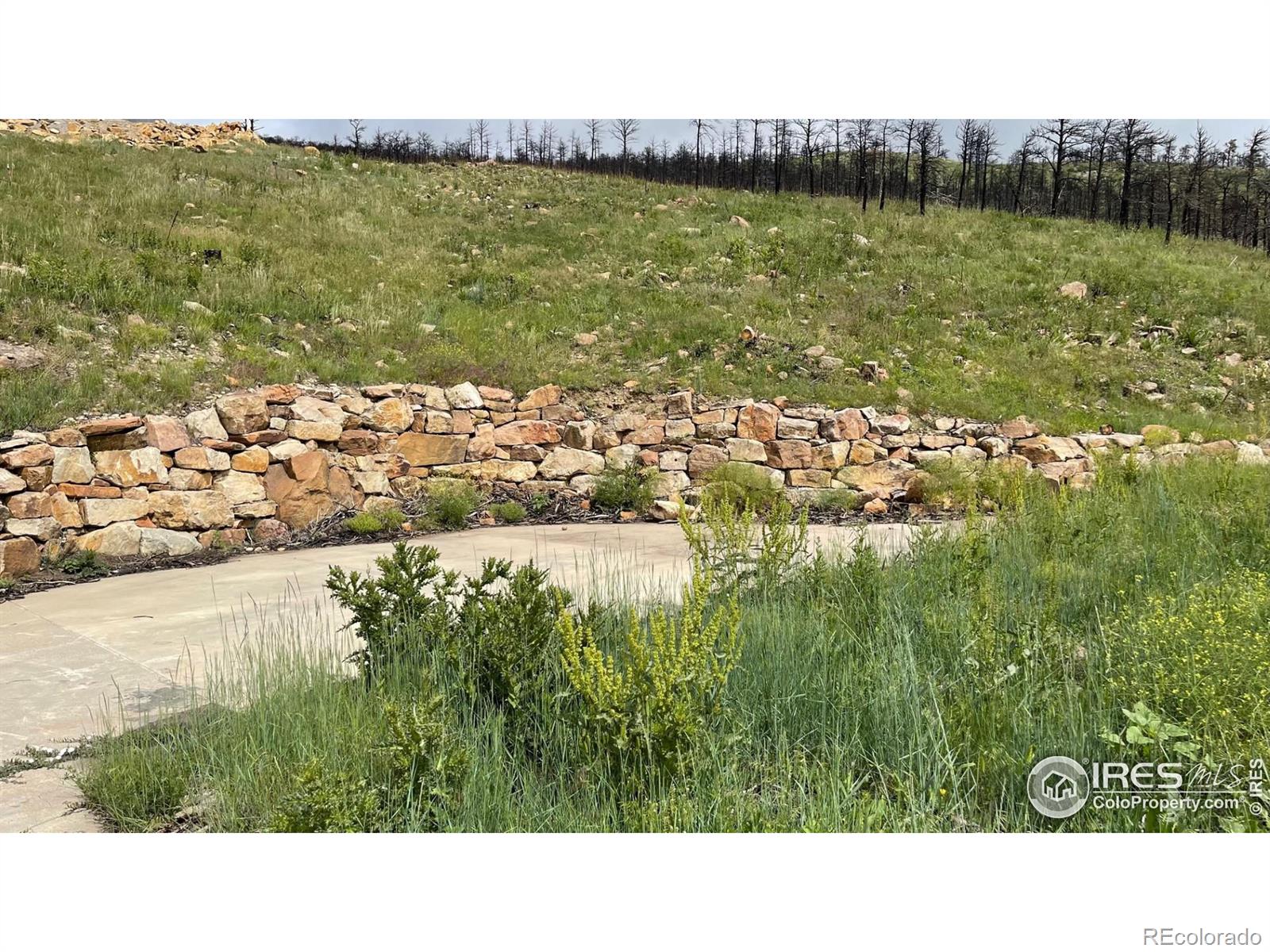 9634 Mountain Ridge Drive Boulder CO 80302