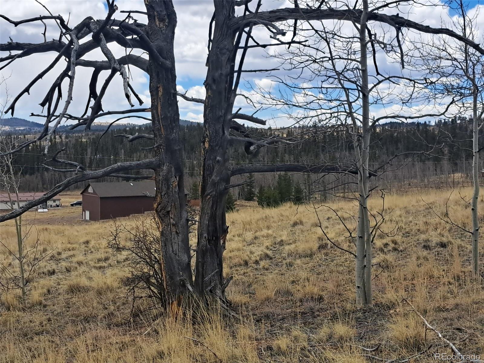 499 Kiowa Street Como CO 80432