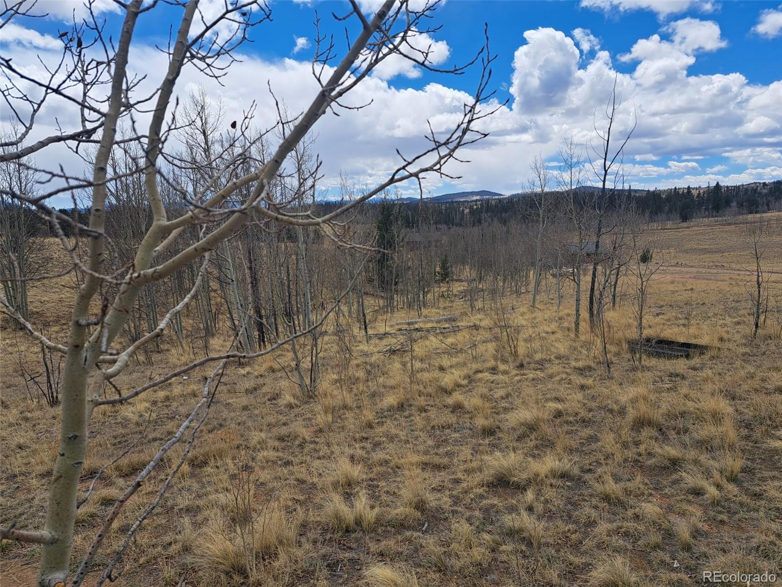 499 Kiowa Street Como CO 80432