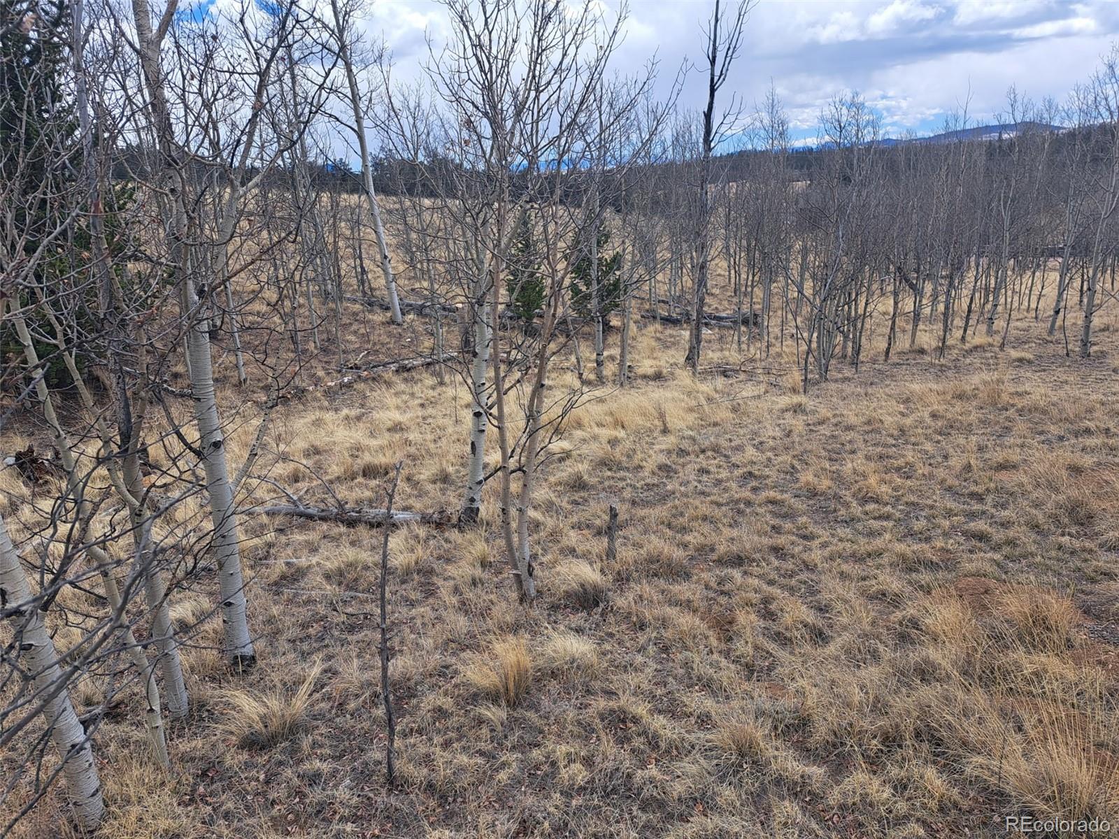 499 Kiowa Street Como CO 80432