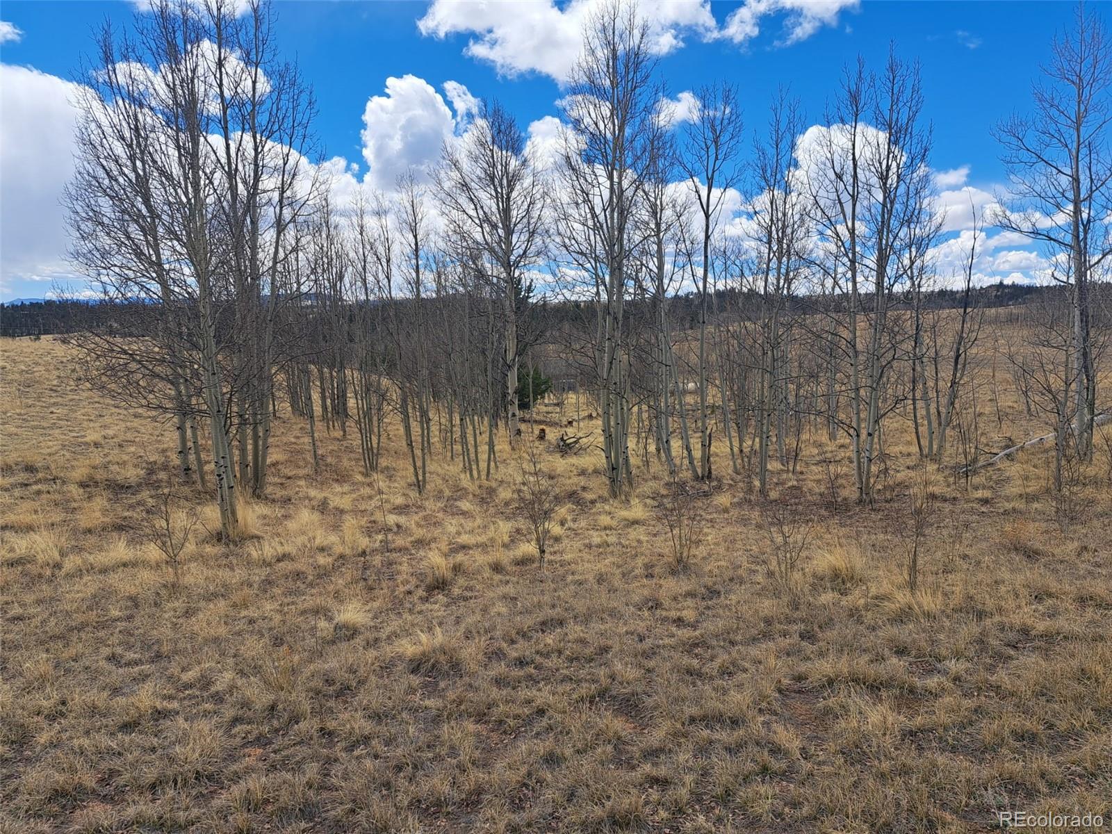 499 Kiowa Street Como CO 80432