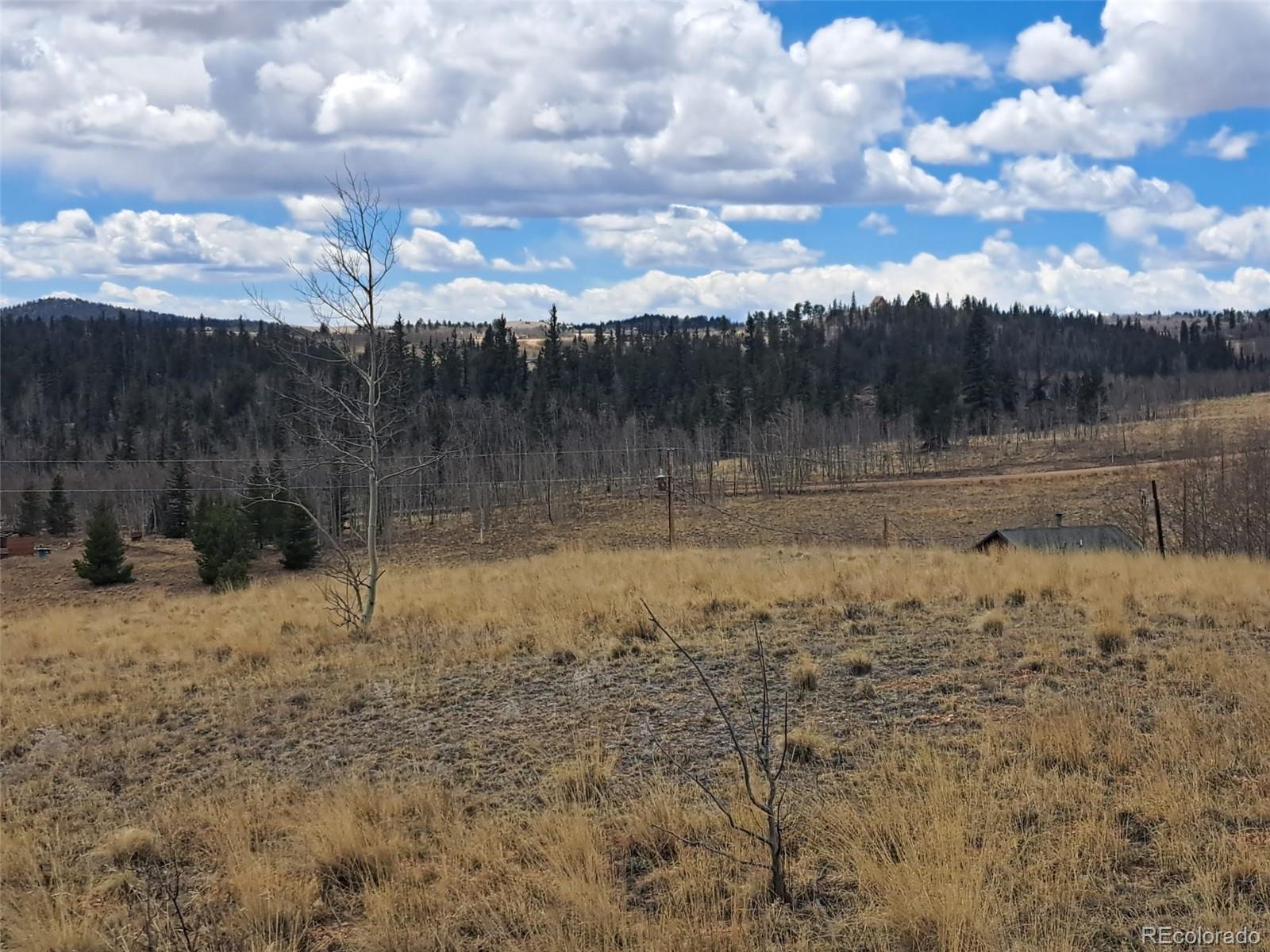 499 Kiowa Street Como CO 80432