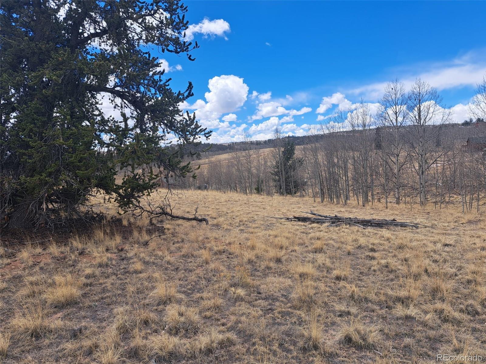 499 Kiowa Street Como CO 80432