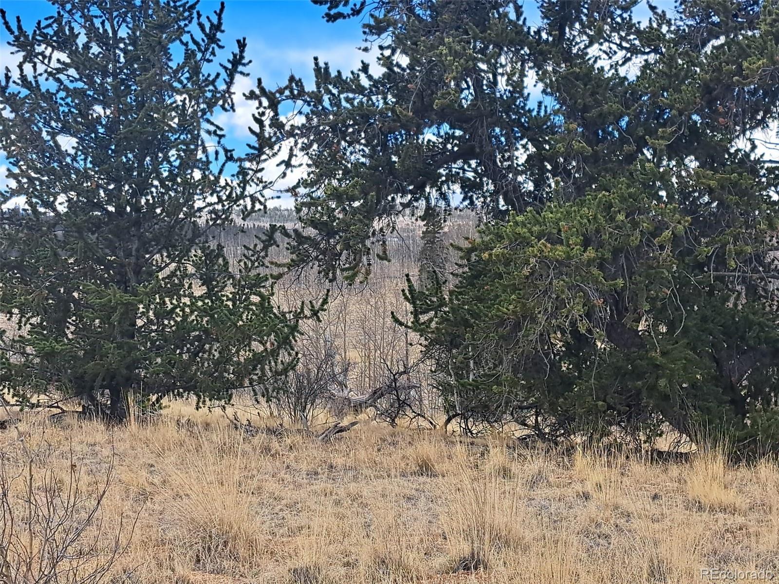 499 Kiowa Street Como CO 80432