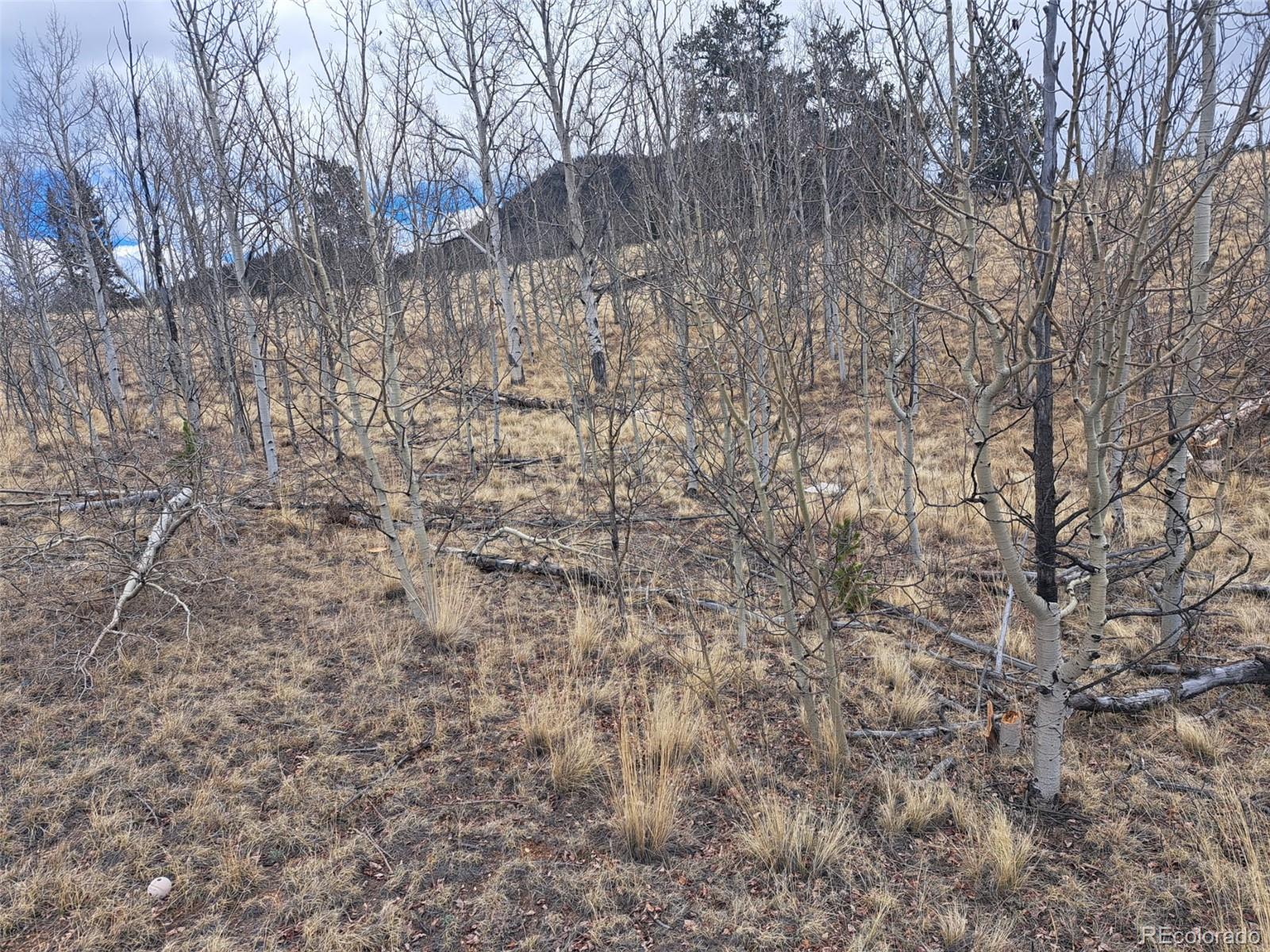 499 Kiowa Street Como CO 80432