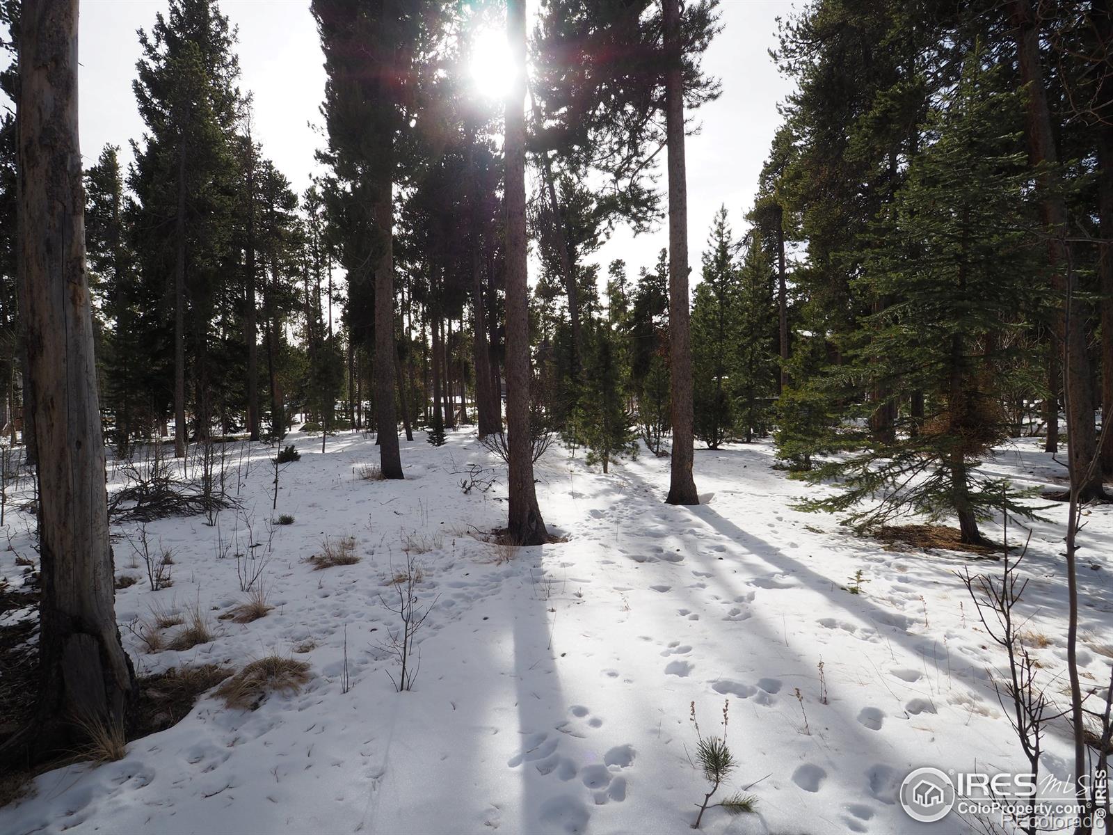 0 Long Trail Road Black Hawk CO 80422