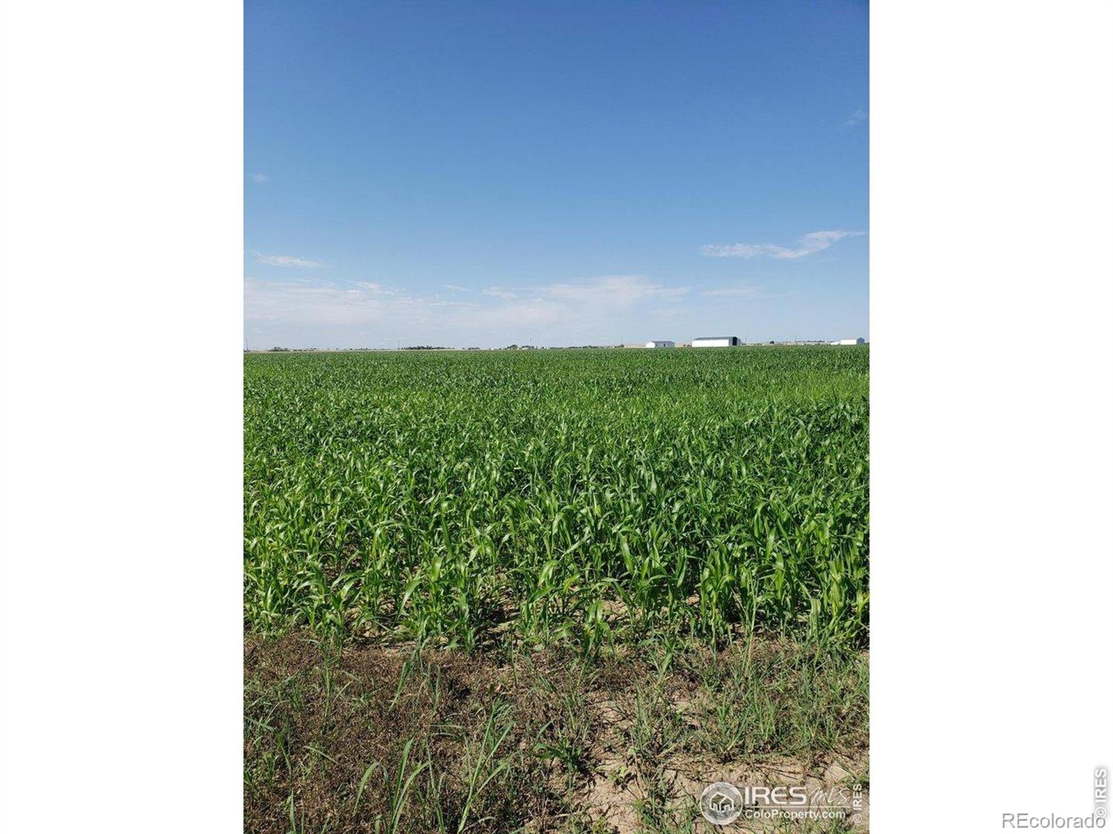 0 County Road 6 Wiggins CO 80654