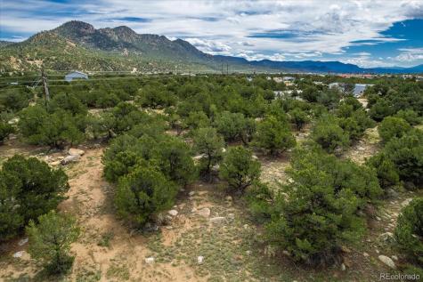 30224 N Us Highway 24 Buena Vista CO 81211